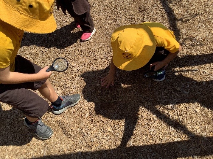 /uploaded_files/media/gallery/1646867108Grade 1 inquiry 3.jpg